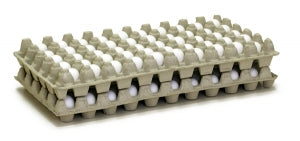 egg trays