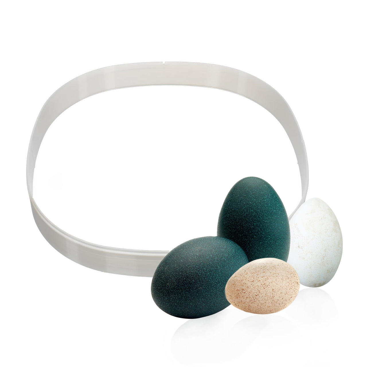 Nurture Right 360 Riser | 1.5" Height Extension for Bird Containment & Larger Eggs