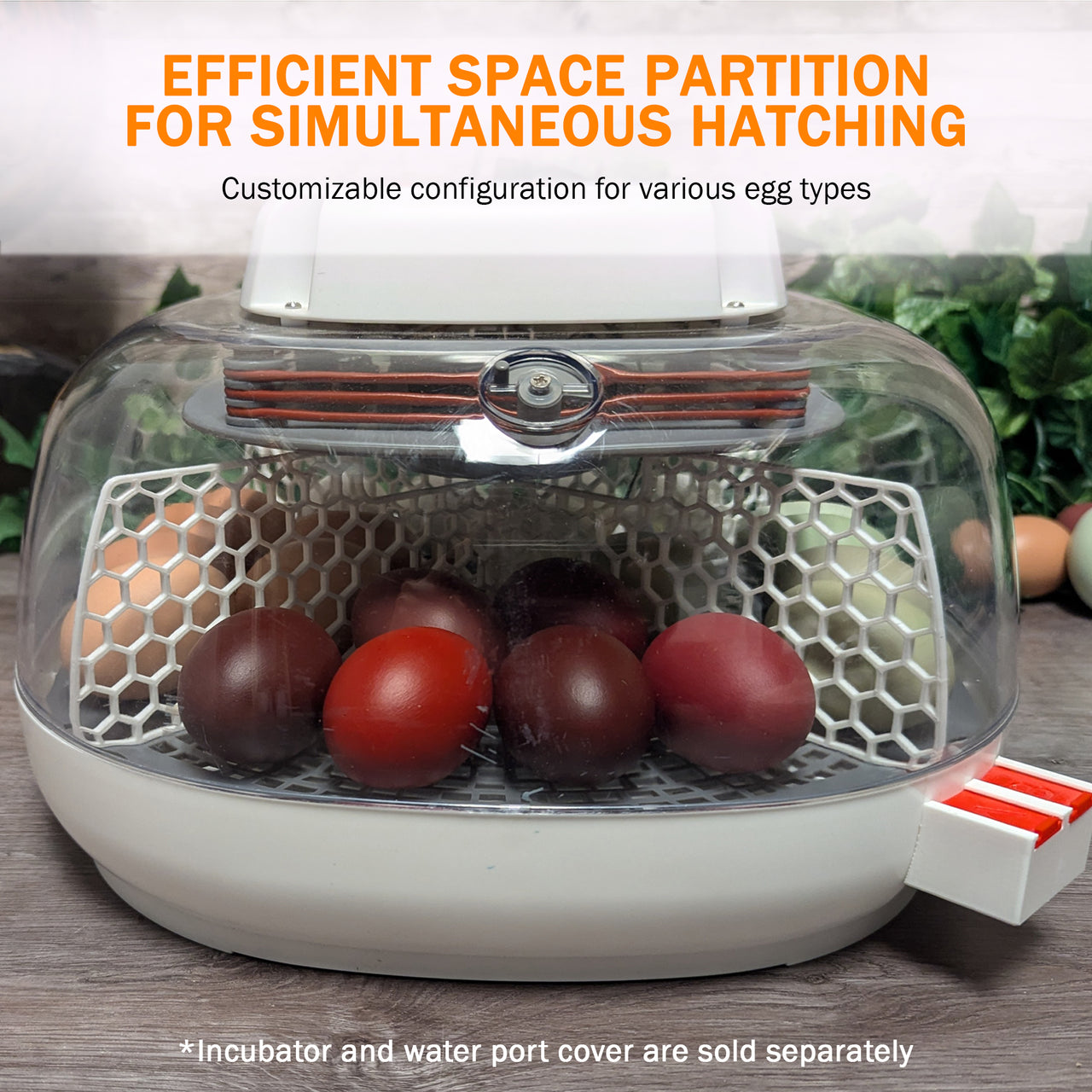 Nurture Right 360 Hatch Divider | Adjustable Incubator Divider for Multi-Species Hatching