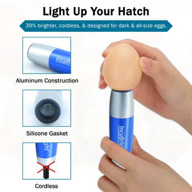Incu-Bright™ Ultra Bright LED Light Egg Candler