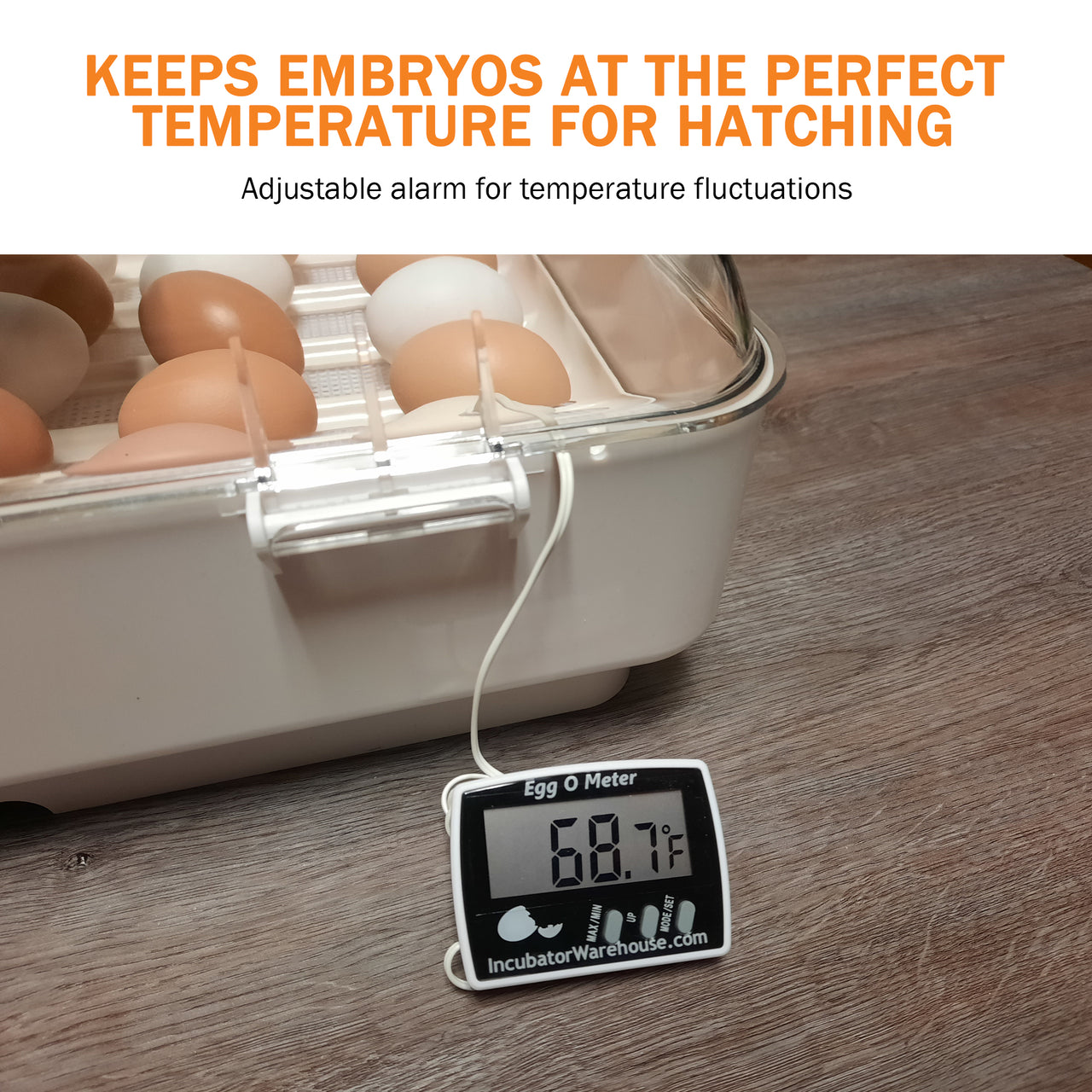 Egg-O-Meter™ | Egg Incubator Hatching Thermometer - A Better Egg Thermometer