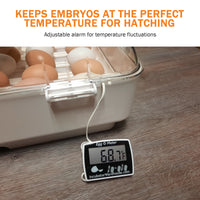 Thumbnail for Egg-O-Meter™ | Egg Incubator Hatching Thermometer - A Better Egg Thermometer