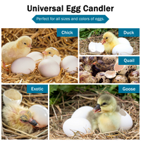 Thumbnail for Incu-Bright™ Ultra Bright LED Light Egg Candler
