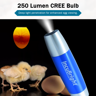 Incu-Bright™ Ultra Bright LED Light Egg Candler