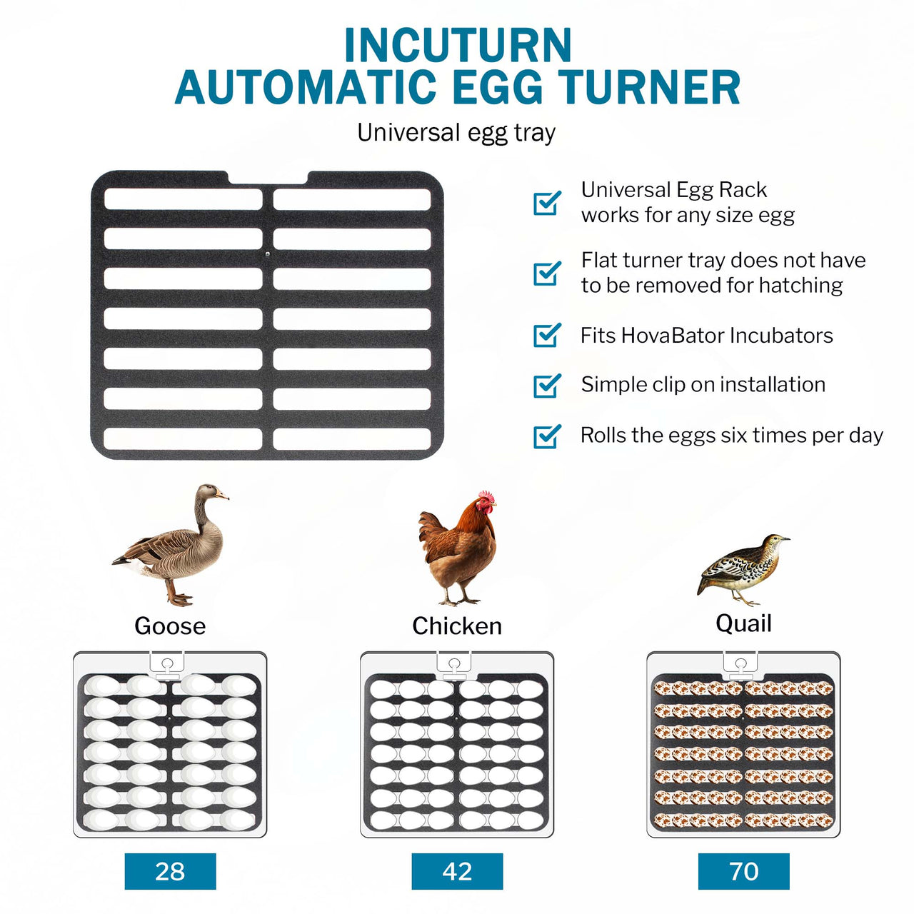 HovaBator 2370 Circulated Air Egg Incubator Deluxe Combo Kit