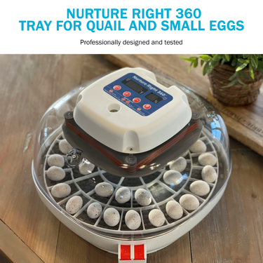 Nurture Right 360 Egg Trays for Small to XL Egg Sizes