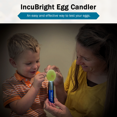 Incu-Bright™ Ultra Bright LED Light Egg Candler