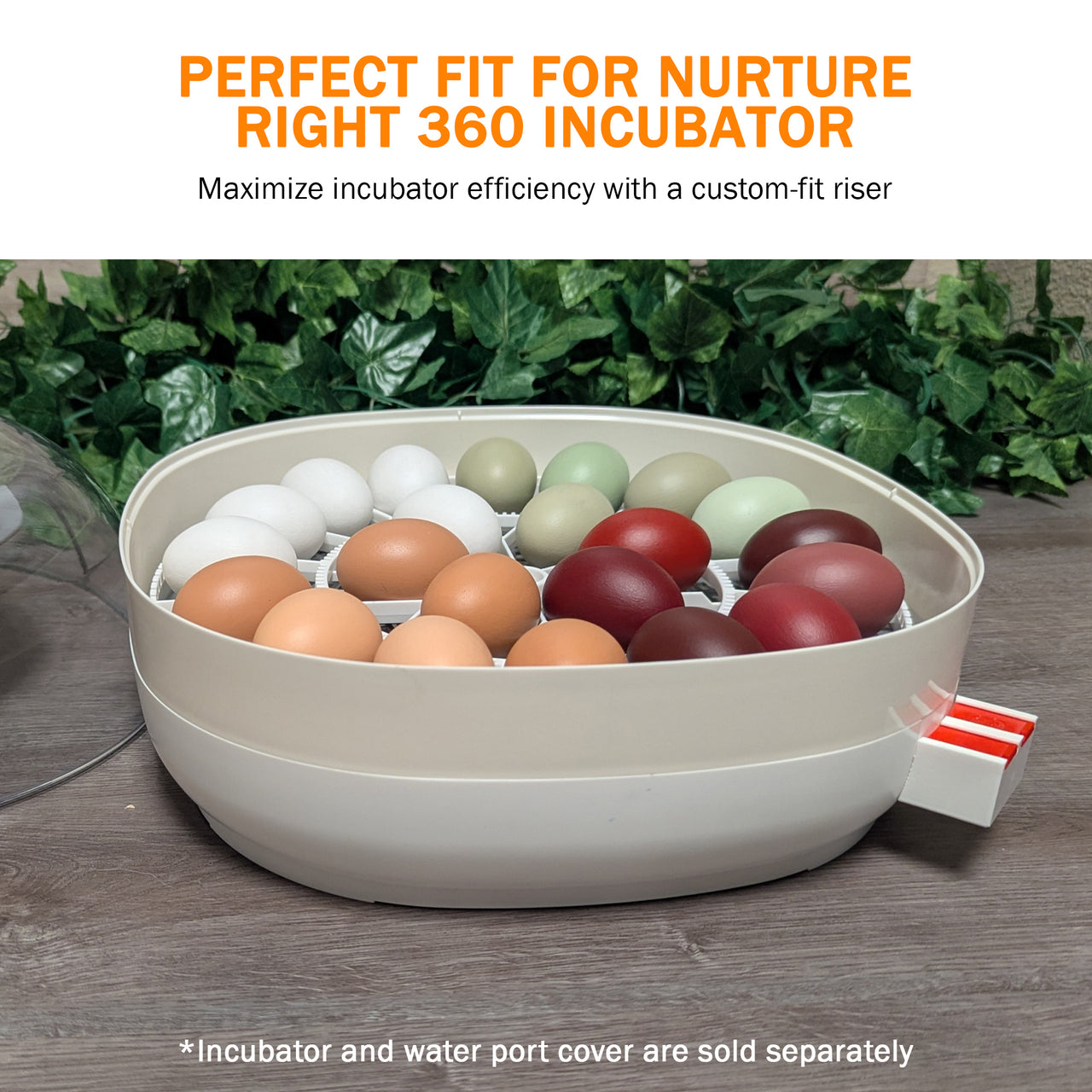 Nurture Right 360 Riser | 1.5" Height Extension for Bird Containment & Larger Eggs