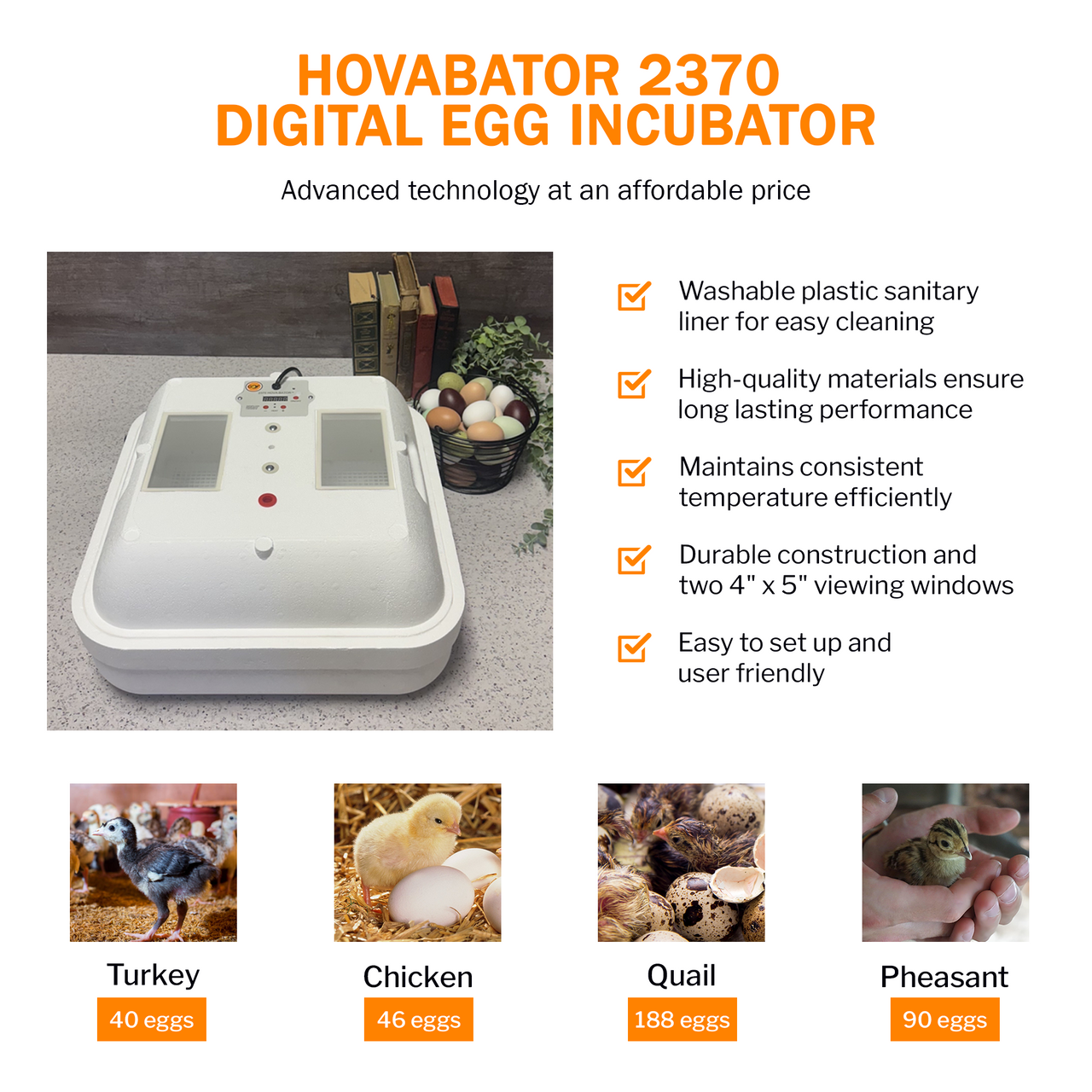 Hova-Bator 2370 Circulated Air Incubator with Electronic Thermostat