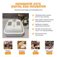 Thumbnail for Hova-Bator 2370 Circulated Air Incubator with Electronic Thermostat