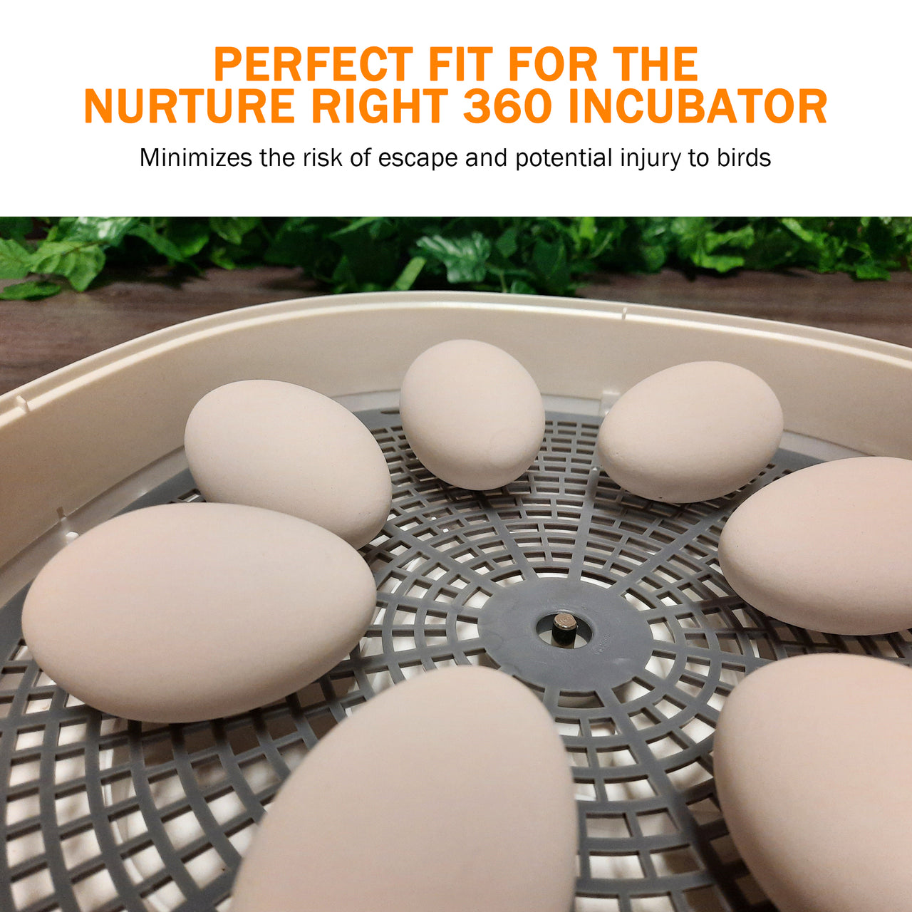 Nurture Right 360 Riser | 1.5" Height Extension for Bird Containment & Larger Eggs