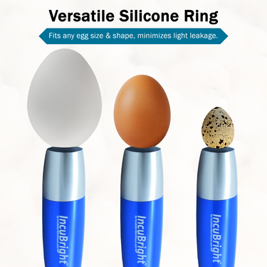 Incu-Bright™ Ultra Bright LED Light Egg Candler
