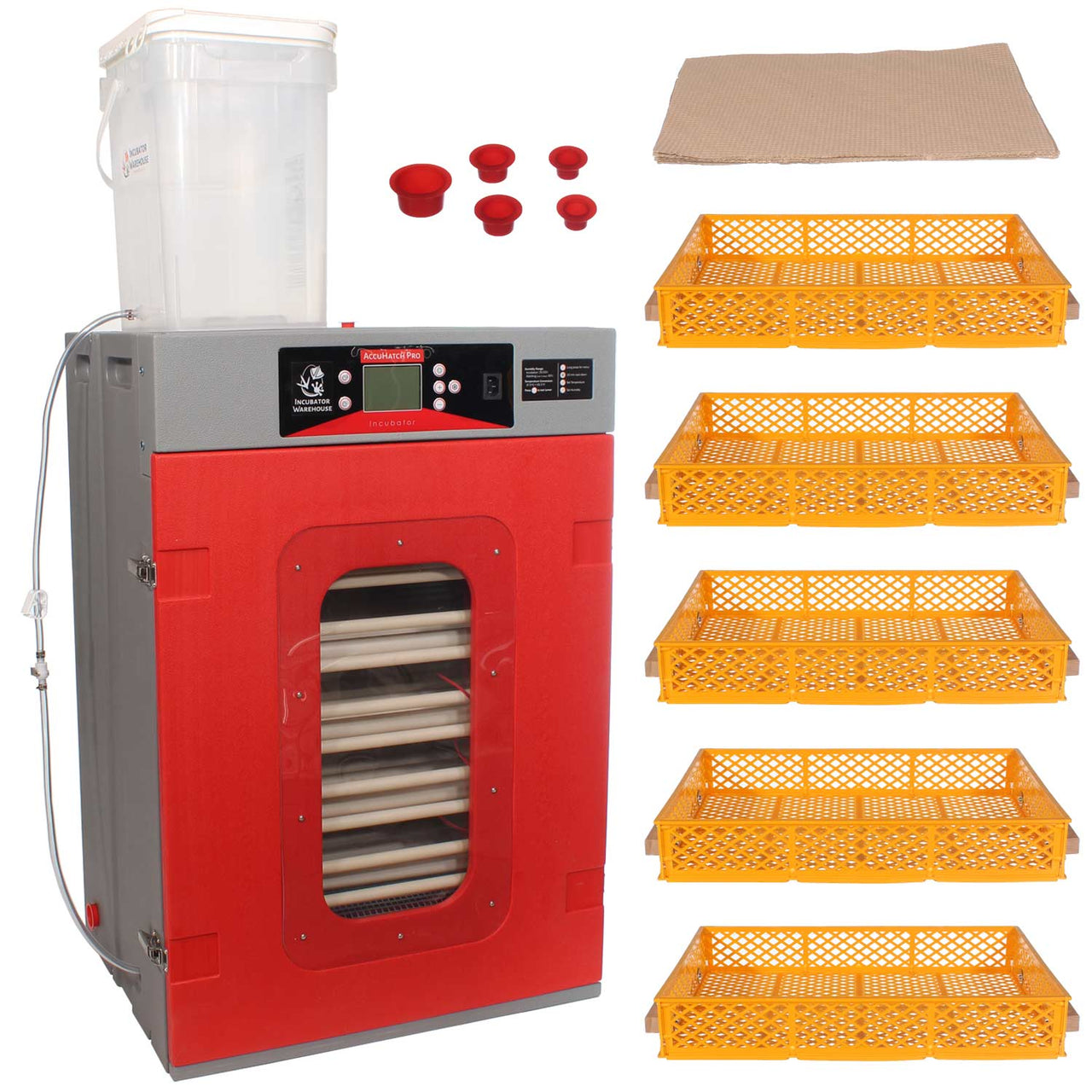 Cabinet Incubator