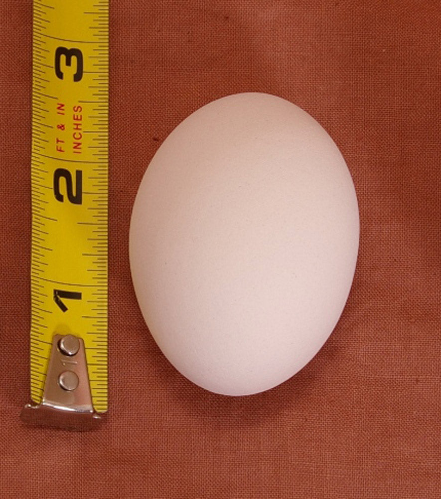 Ceramic White Chicken Nest EGG Hatching, Craft, Dummy