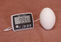 Thumbnail for Egg-O-Meter™ | Egg Incubator Hatching Thermometer - A Better Egg Thermometer!