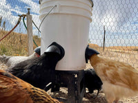 Thumbnail for /i/m/img_4277-web.jpg