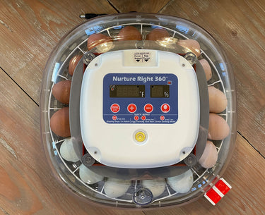 Nurture Right 360 Egg Trays for Small to XL Egg Sizes