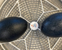 Thumbnail for Nurture Right 360 Egg Trays for Small to XL Egg Sizes