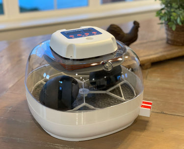 Nurture Right 360 Egg Trays for Small to XL Egg Sizes