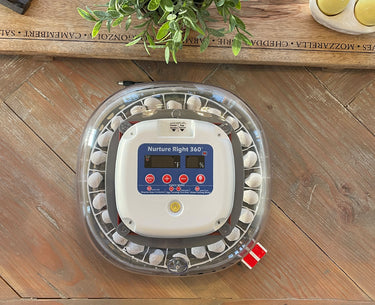 Nurture Right 360 Egg Trays for Small to XL Egg Sizes
