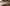 HovaBator Incubator vs Nurture Right 360: Which Egg Incubator Is Better in 2026?