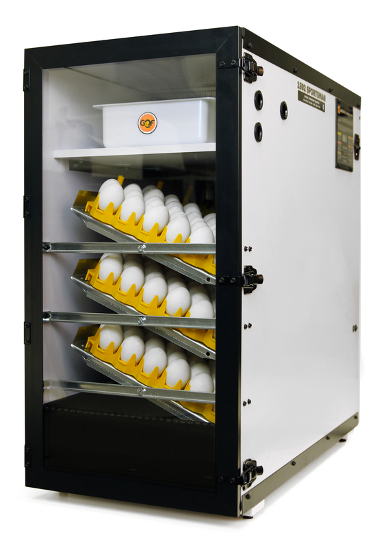 Incubator Warehouse  Hova Bator 1502 Digital Sportsman Cabinet Egg  Incubator