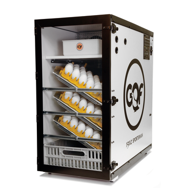 GQF 1502 Digital Sportsman Cabinet Incubator (Egg Incubator & Hatcher Combo)
