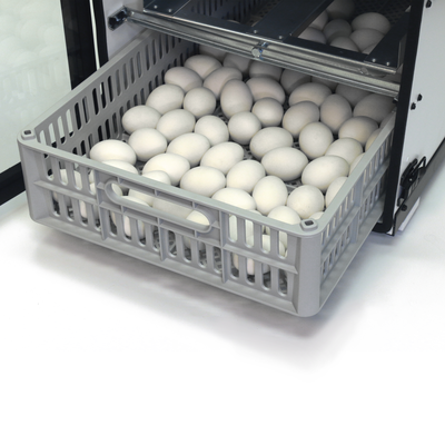 GQF 1502 Digital Sportsman Cabinet Incubator (Egg Incubator & Hatcher Combo)
