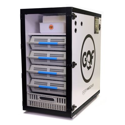 GQF 1550 Digital Hatcher Cabinet Egg Incubator – Incubator Warehouse