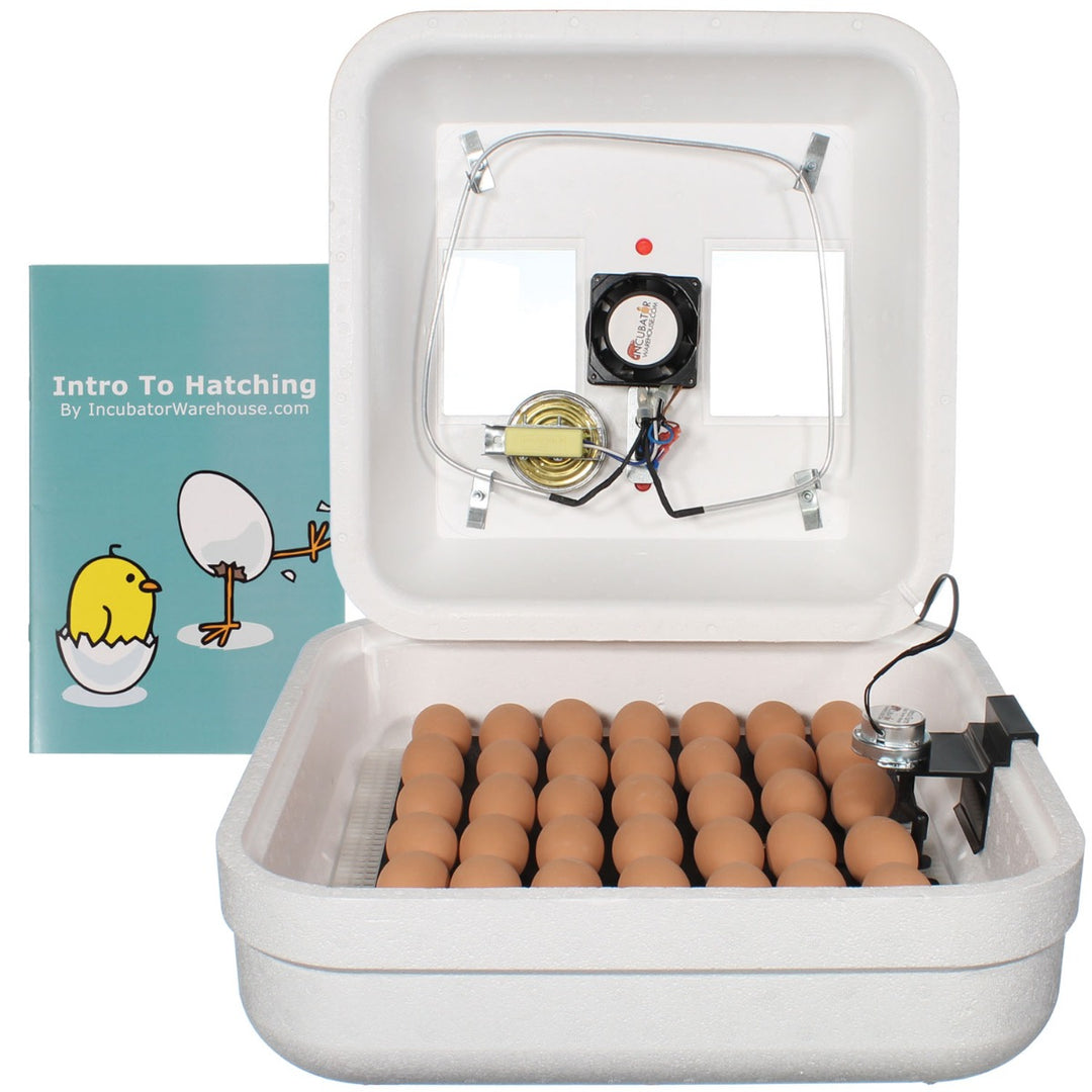 Chick Brush for Cleaning Incubator and Eggs – Incubator Warehouse