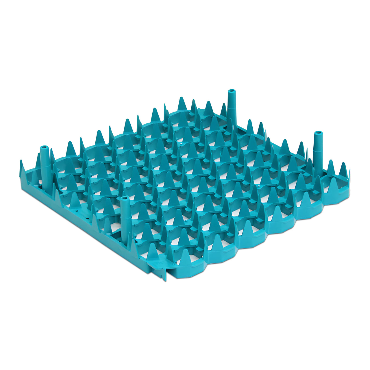 Set of 6 Plastic Chicken Egg Trays for Cabinet Incubator