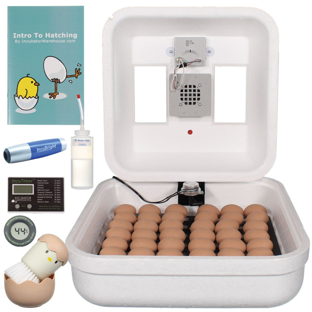 30 Egg candler electric type