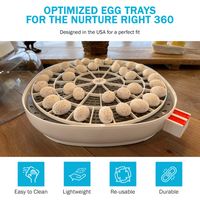 Thumbnail for Nurture Right 360 Egg Trays for Small to XL Egg Sizes