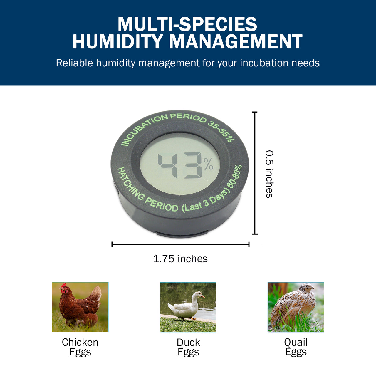 Incubator Warehouse Digital Hygrometer