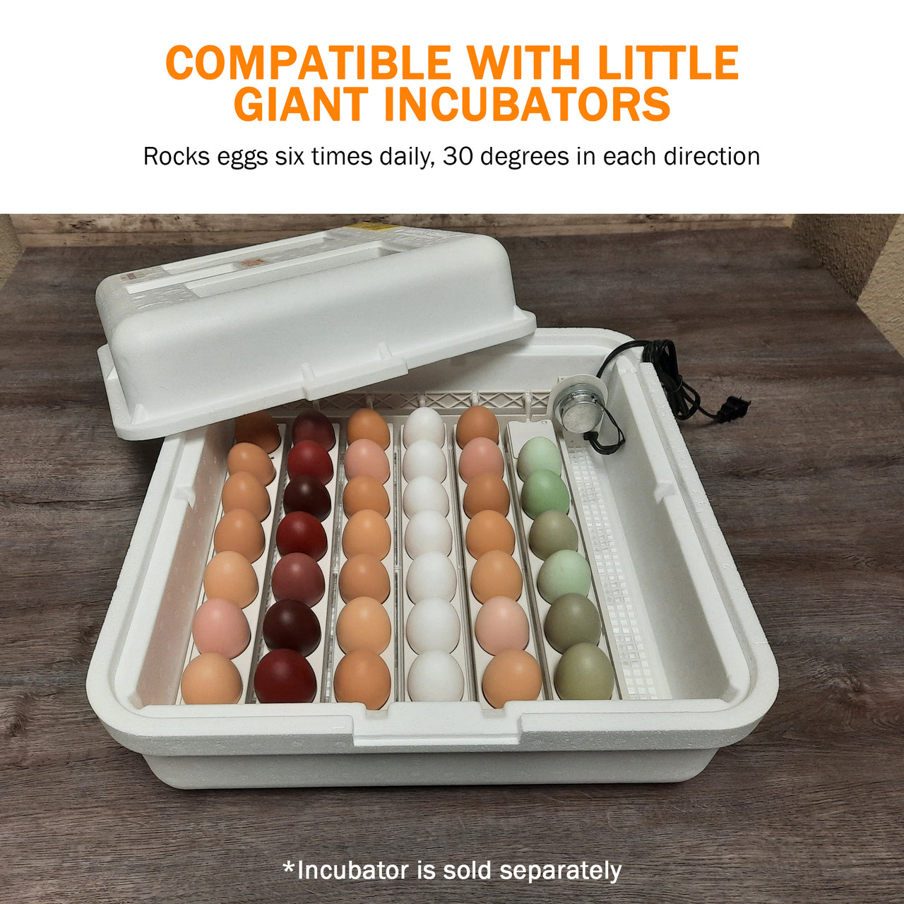 Little Giant Automatic Egg Turner 6300 w Quail Rails