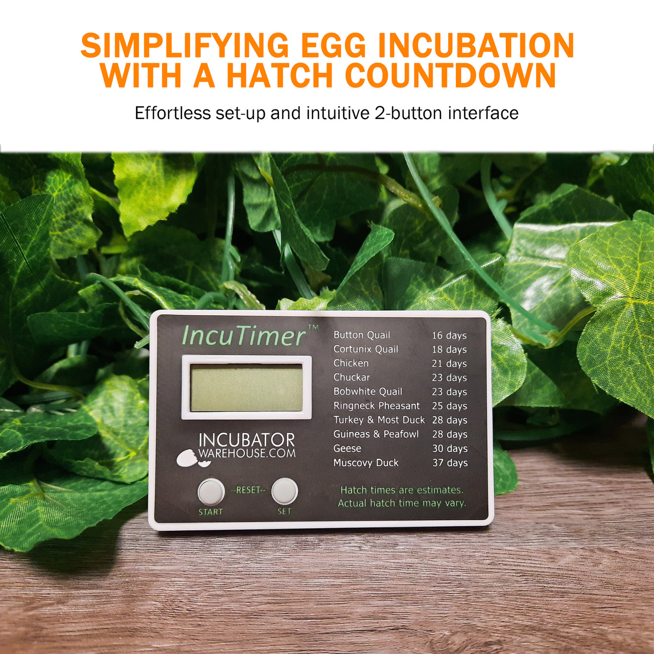 IncuTimer™ Digital Hatch Countdown Timer for Egg Incubator