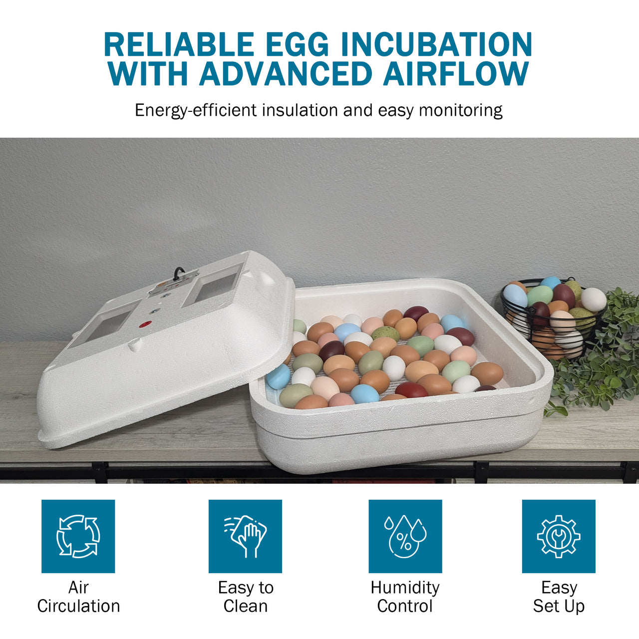 HovaBator 2370 Circulated Air Egg Incubator Deluxe Combo Kit