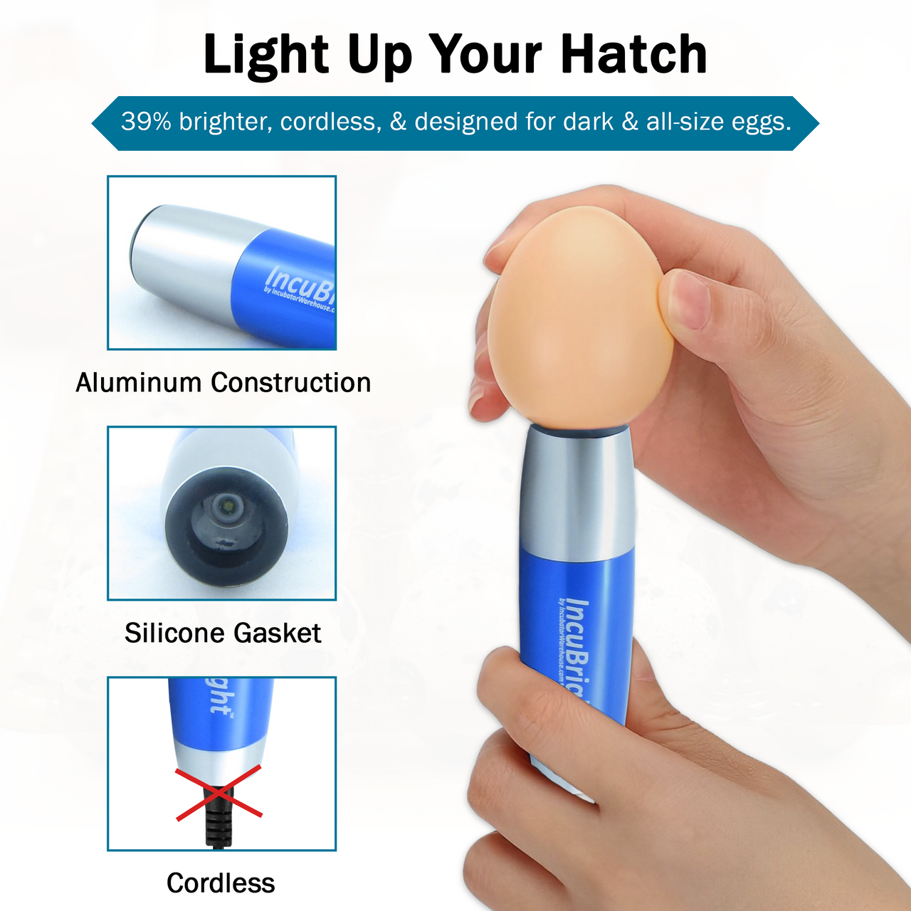 Incu-Bright™  Cool Light Egg Candler - Incubator Warehouse Exclusive