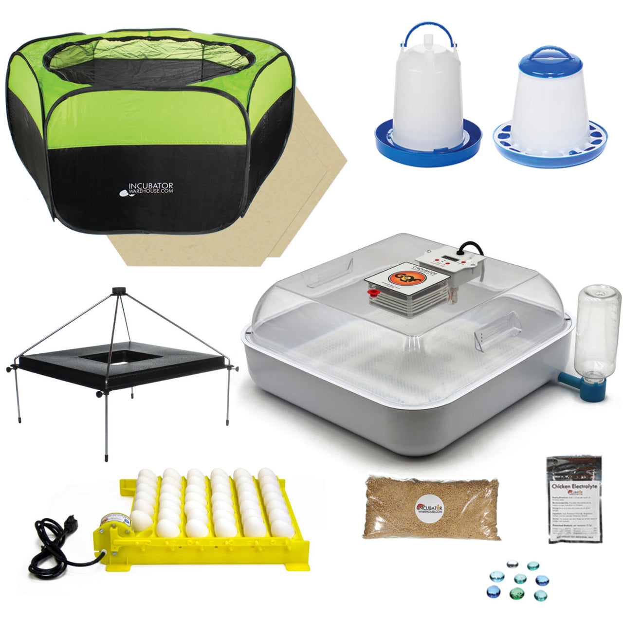 ChickBator 3100 110V AC