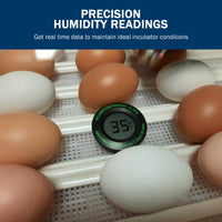 Thumbnail for Incubator Warehouse Digital Hygrometer