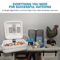 Thumbnail for HovaBator 2370 Circulated Air Egg Incubator Deluxe Combo Kit