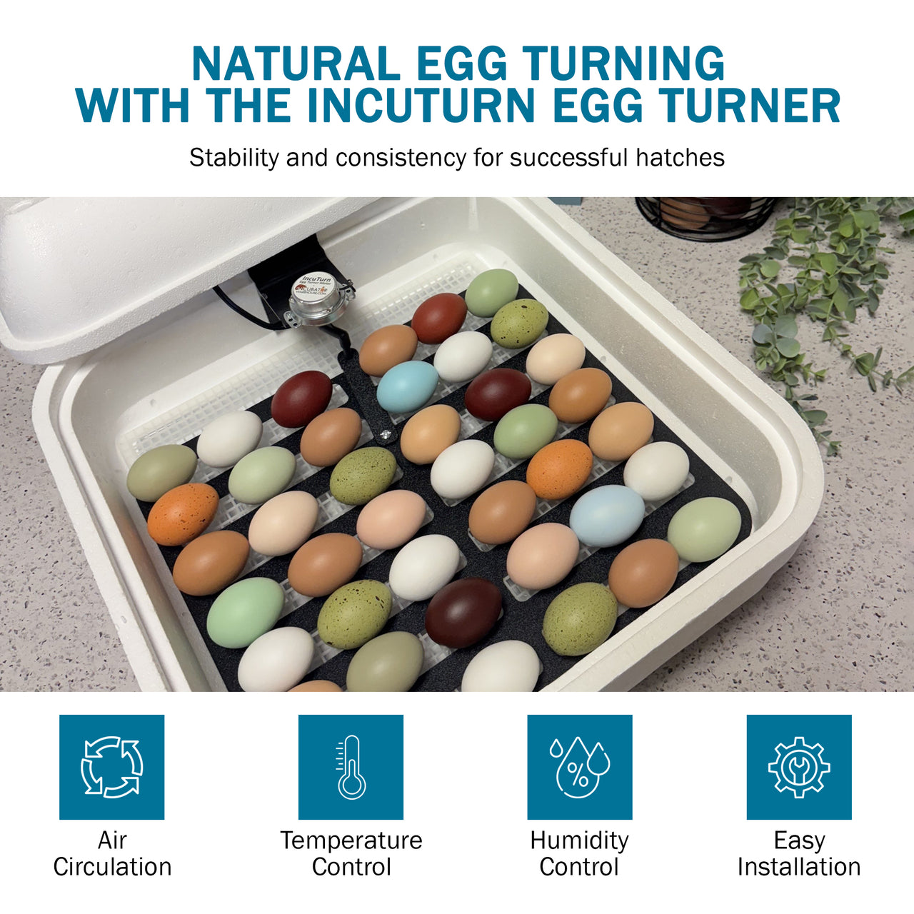 HovaBator 2370 Circulated Air Egg Incubator Starter Combo Kit