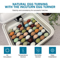 Thumbnail for HovaBator 2370 Circulated Air Egg Incubator Starter Combo Kit