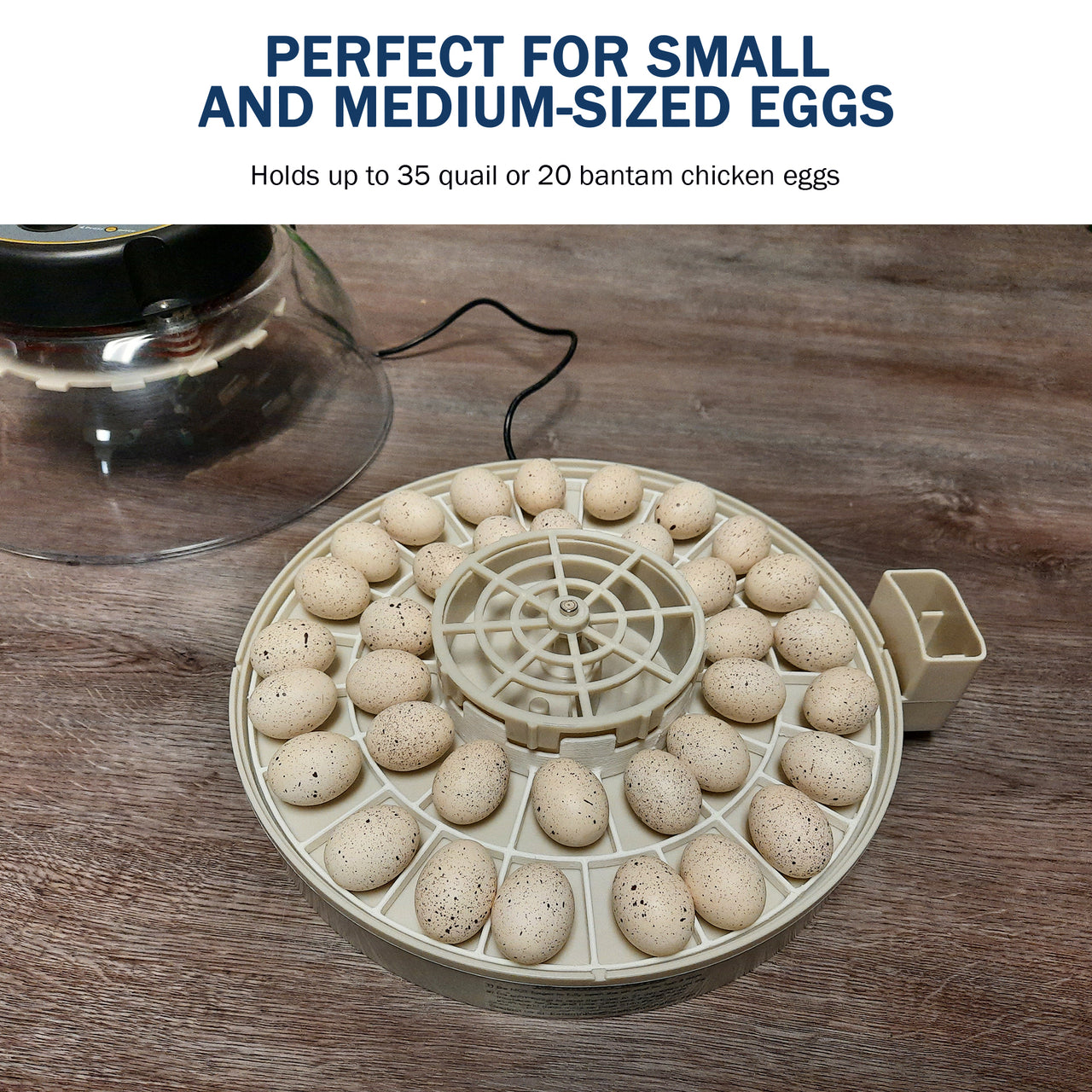 Egg Trays for Kebonnixs Egg Incubator (Various Sizes)