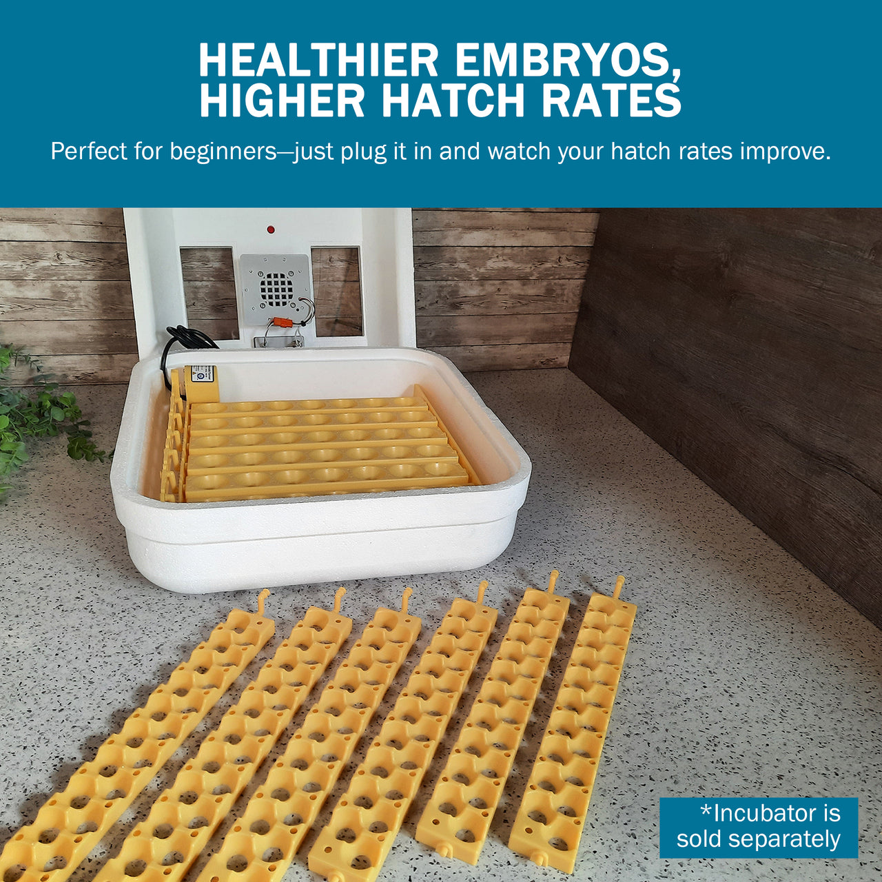 Hova-Bator Automatic Egg Turner with 6 Universal Egg Racks & 6 Quail Egg Racks