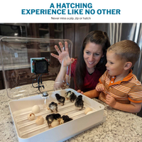 Thumbnail for IncuView 3 Pro™ All-In-One Automatic Egg Incubator