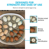 Thumbnail for Nurture Right 360 Egg Trays for Small to XL Egg Sizes