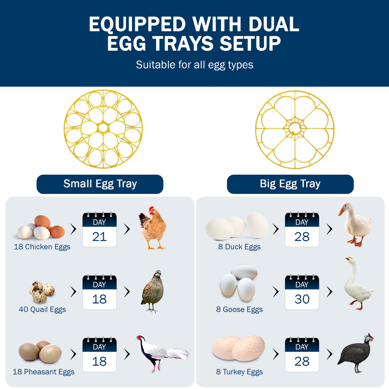 AccuHatch 360 Tabletop Incubator