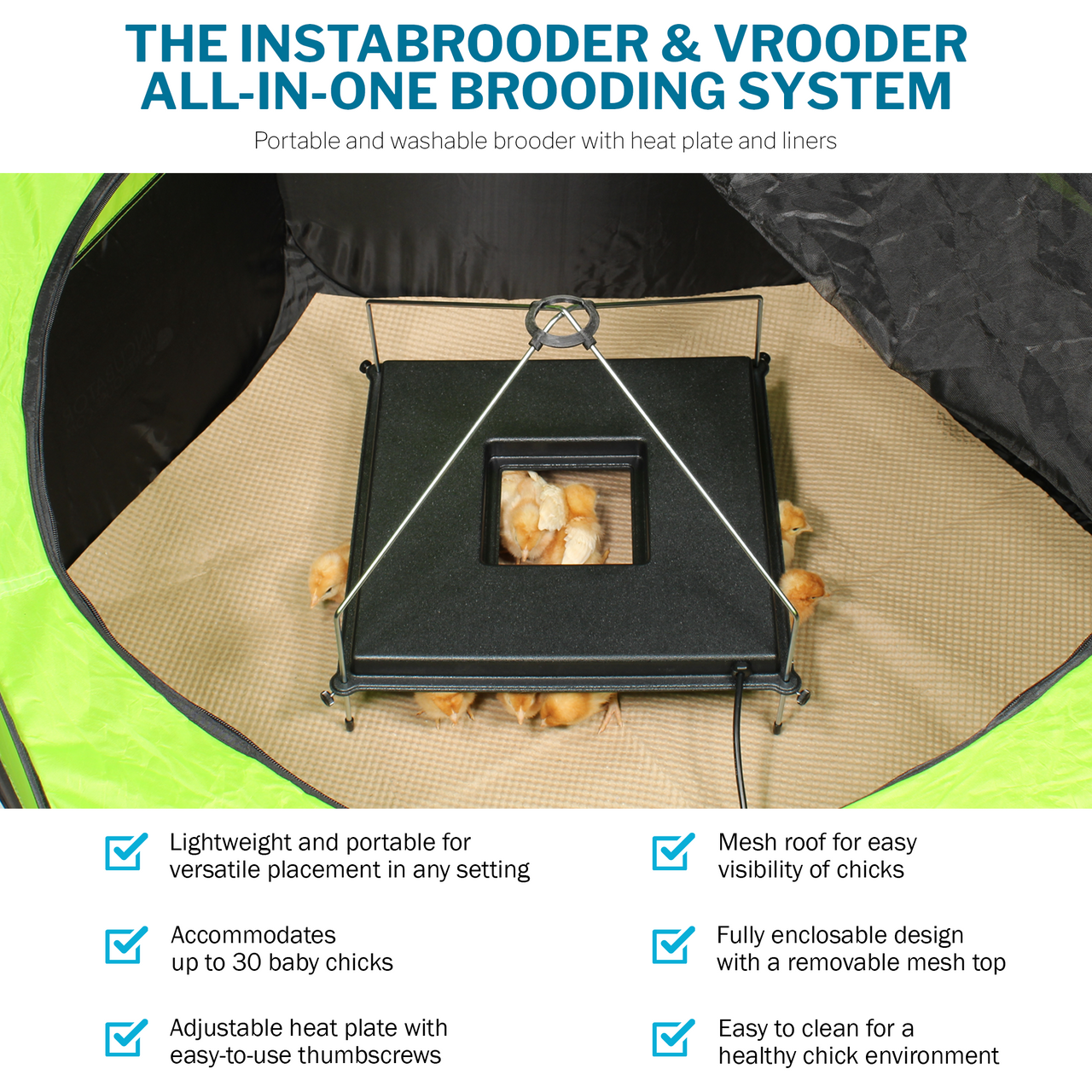 Incubator Warehouse Insta Brooder™ with Vrooder™ Heater Plate