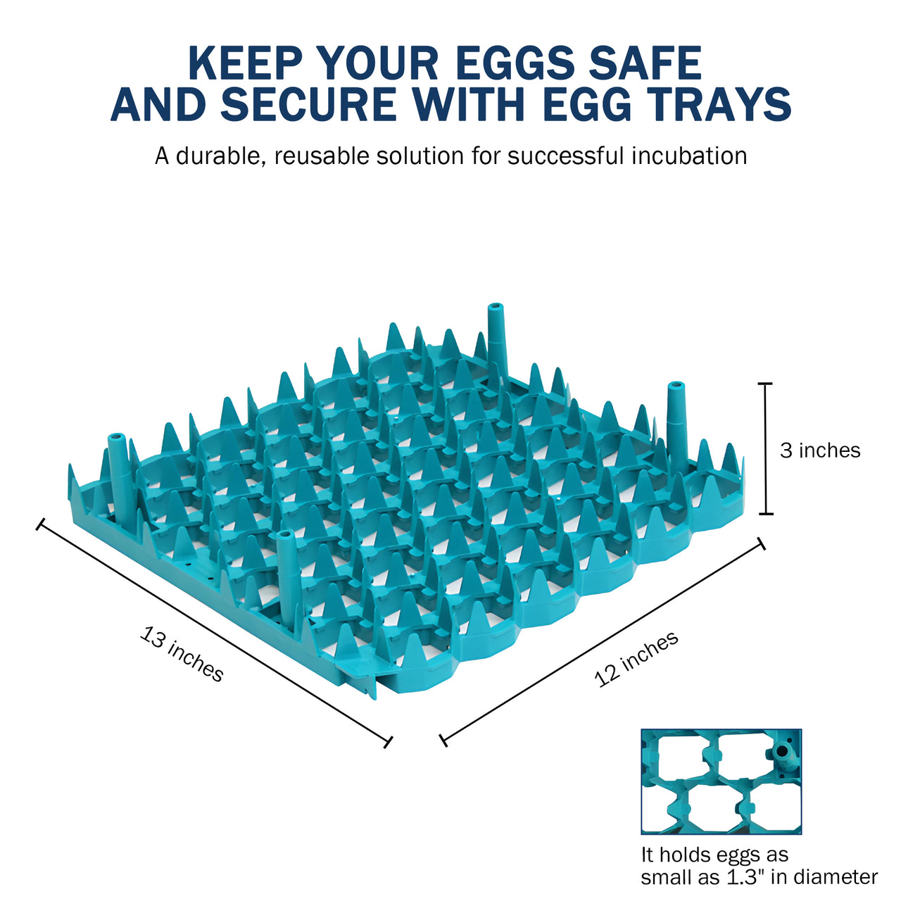 Set of 6 Plastic Chicken Egg Trays for Cabinet Incubator
